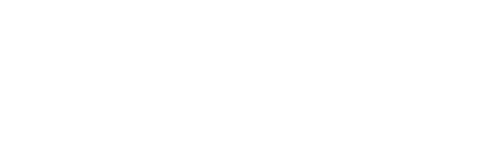 Pony AI Inc. Logo